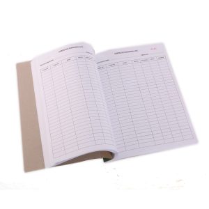 ammunition stock register