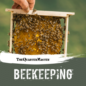 Beekeeping