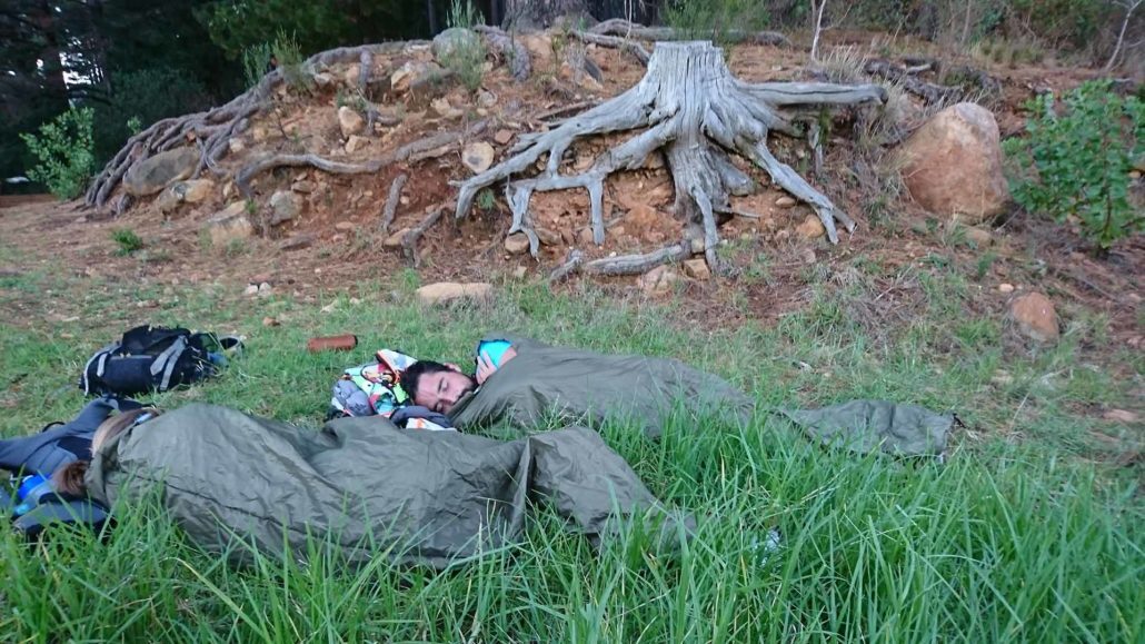 rad bag original bivvy bag: olive