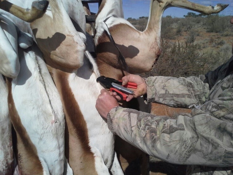 fencing tool hog ring pliers