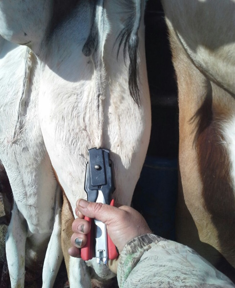 fencing tool hog ring pliers