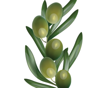 eezy squeezy extra virgin olive oil sachets 10ml