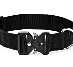 canine 38mm web collar metal qr: large