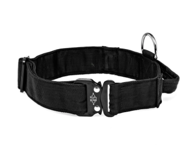 canine 50mm web collar with handle: large